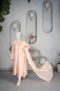 3-Piece Peach Full Embroidered Chiffon Suit