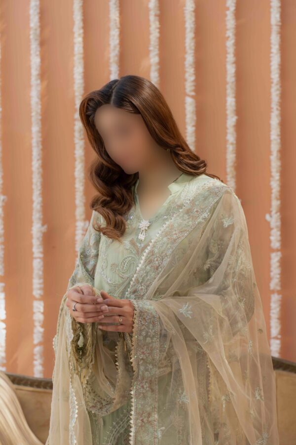 Bamberg Organza Suit with Intricate Embroidery - Aatiqa