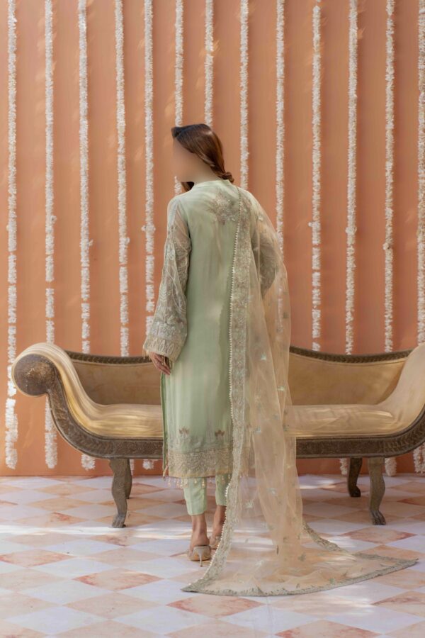 Bamberg Organza Suit with Intricate Embroidery - Aatiqa