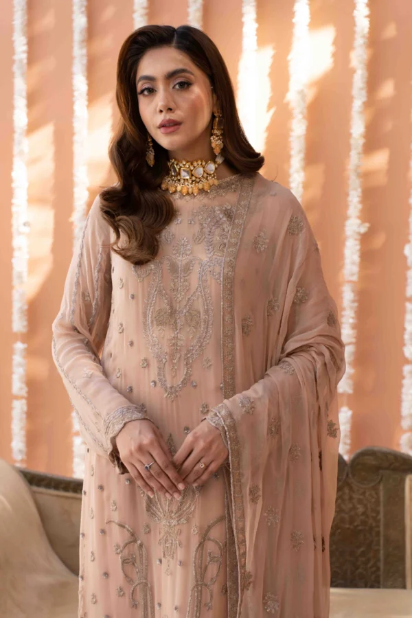 Elegant Bamber Suit with Sequence Work