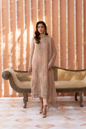 Elegant Bamber Suit with Sequence Work