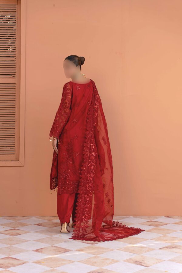 Luxurious Red Net Suit with Net Dupatta and Raw Silk Trousers