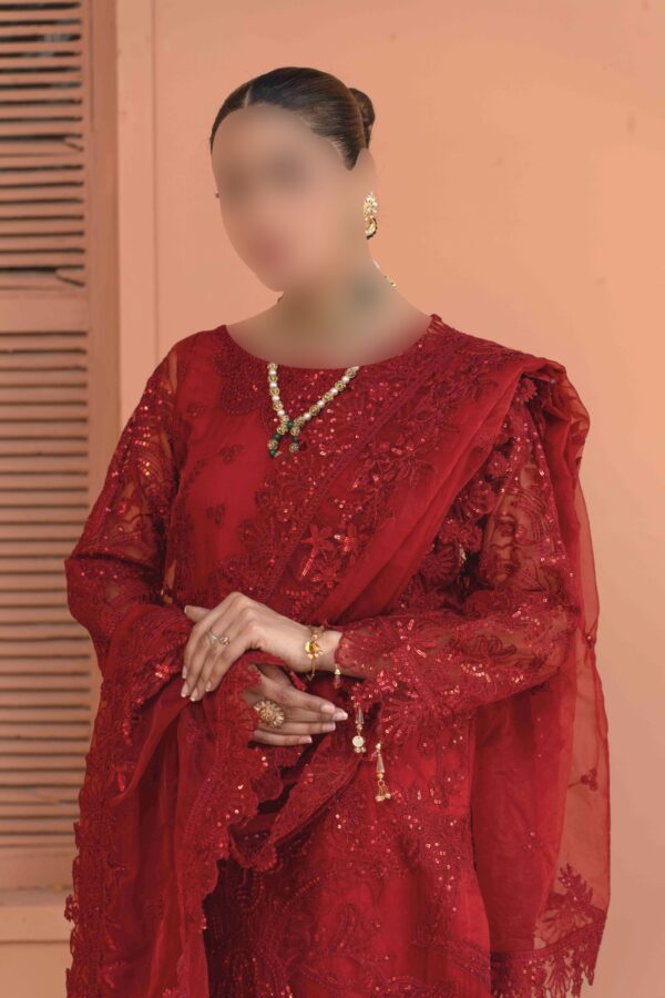 Luxurious Red Net Suit with Net Dupatta and Raw Silk Trousers