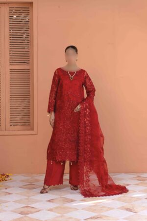 Luxurious Red Net Suit with Net Dupatta and Raw Silk Trousers