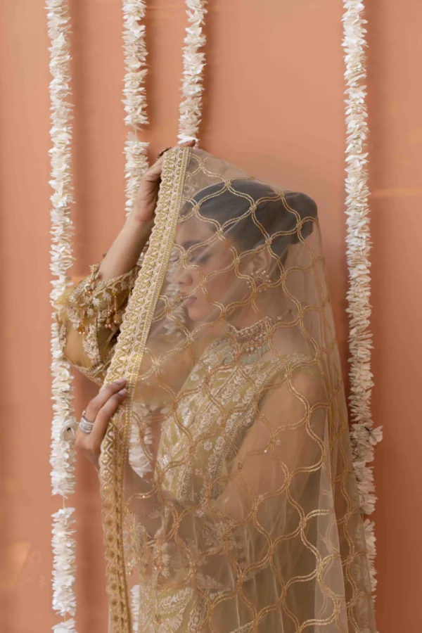 Mustard Yellow Net Suit with Intricate Embroidery and Net Dupatta