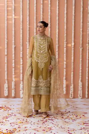 Mustard Yellow Net Suit with Intricate Embroidery and Net Dupatta