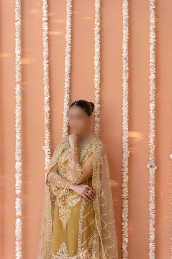 Mustard Yellow Net Suit with Intricate Embroidery and Organza Dupatta