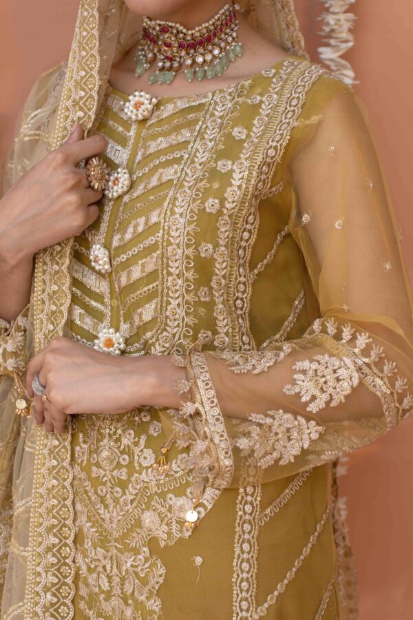 Mustard Yellow Net Suit with Intricate Embroidery and Organza Dupatta