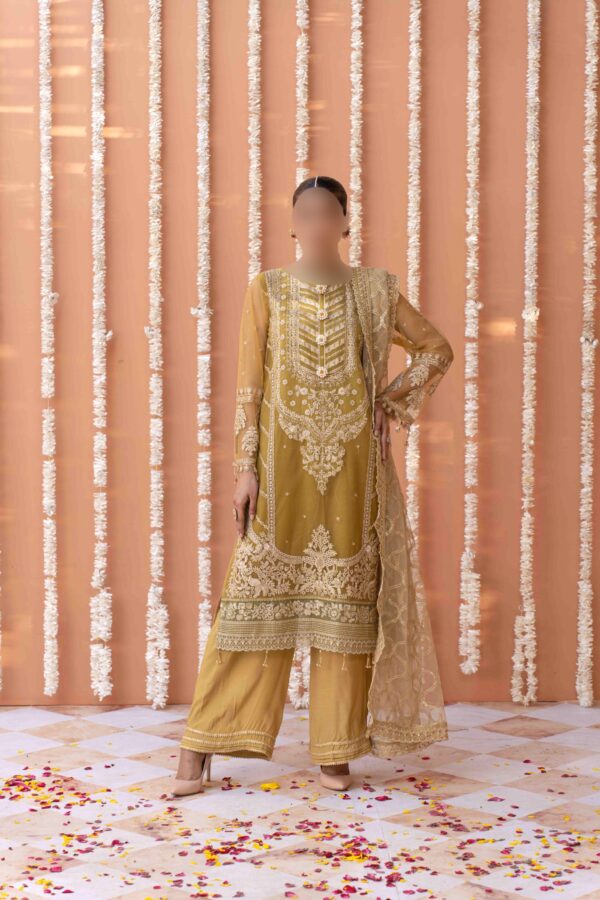 Mustard Yellow Net Suit with Intricate Embroidery and Organza Dupatta