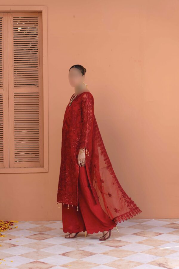 Luxurious Red Net Suit with Net Dupatta and Raw Silk Trousers